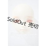 画像: 教室/DWCヘッド＃06 U-26-10-14-209-TN-ZU