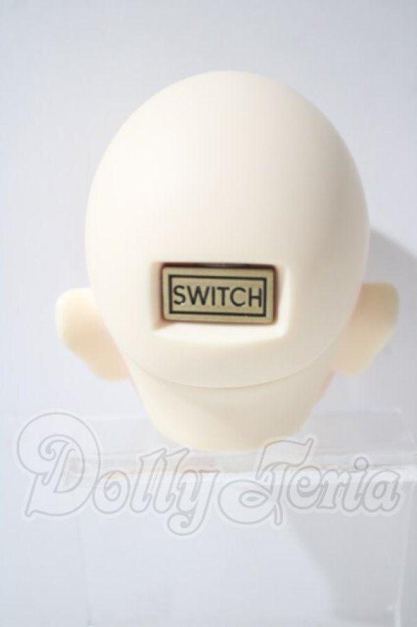 画像5: SWITCH /TAEO Head A-26-10-14-1011-TN-ZU (5)