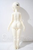 画像6: Myou　doll/sandra　トラ猫ver. limited A-26-10-14-1041-TN-ZU (6)