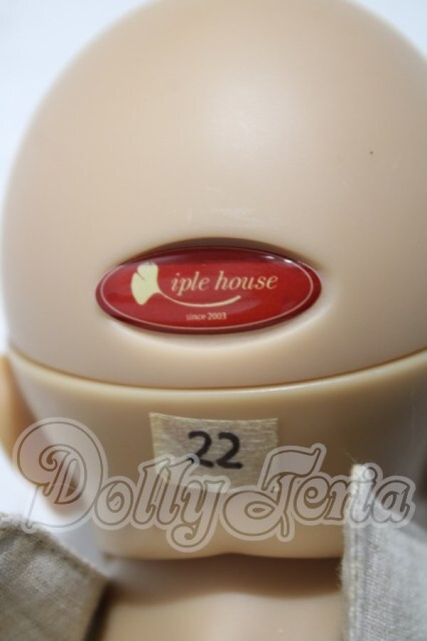 画像4: IPLEHOUSE/TEDROS A-26-10-28-1095-TN-ZU (4)