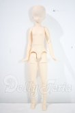 画像1: PNMボディ女の子 A-26-10-21-1091-TN-ZU (1)