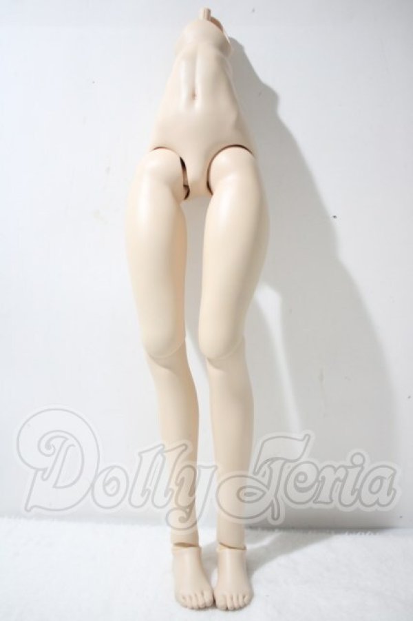 画像1: DDS/ベースボディIII下半身 A-26-10-14-1100-TN-ZU (1)