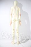 画像3: DOLLZONE/merlin A-26-10-21-1043-TN-ZU (3)