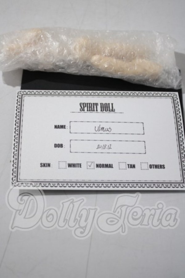 画像6: SPIRIT DOLL/Ulmus A-26-10-28-1093-TN-ZU (6)