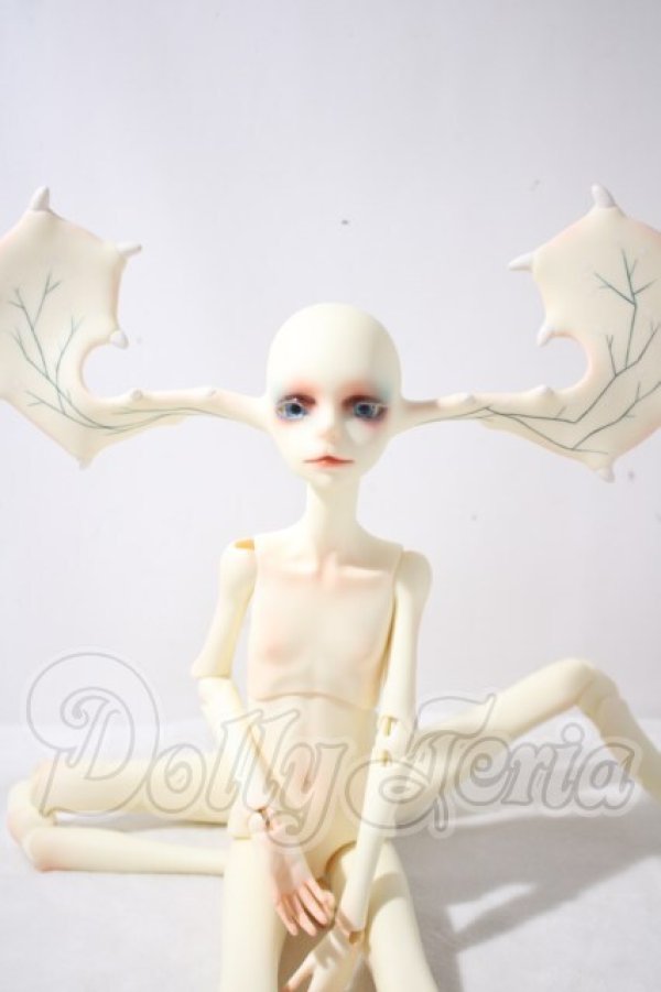 画像1: Dream Valley/Seren(无形) A-26-10-21-1042-TN-ZU (1)