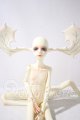 画像: dollchateau /amosA-26-10-21-1042-TN-ZU