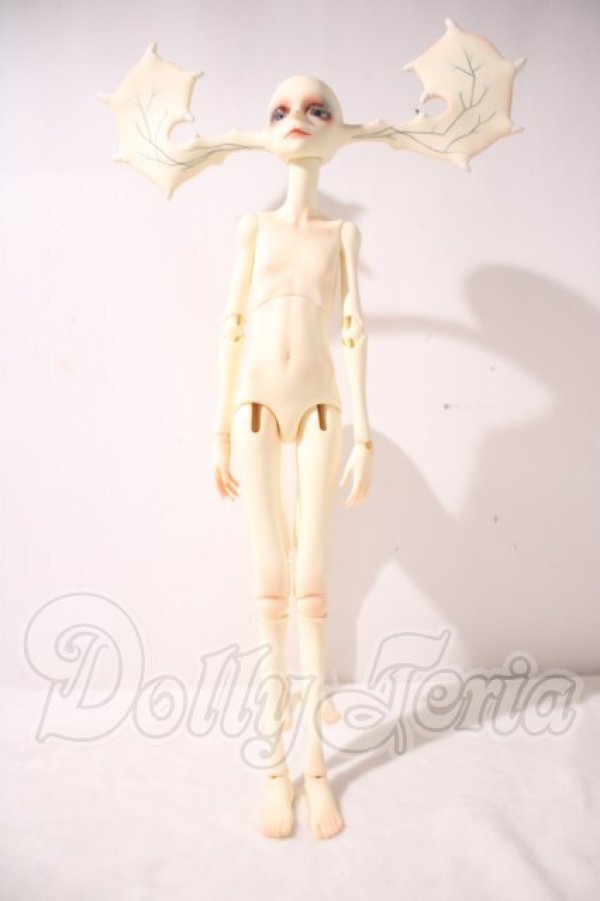 画像2: Dream Valley/Seren(无形) A-26-10-21-1042-TN-ZU (2)