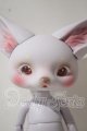画像: DEARMINE/LINCOLN A-26-10-21-1034-TN-ZU
