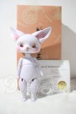 画像4: DEARMINE/LINCOLN A-26-10-21-1034-TN-ZU (4)