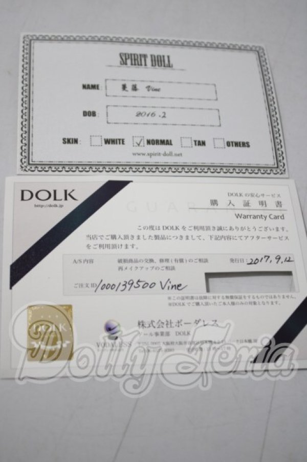 画像6: DOLLMORE/Lusion Girl　Dahlia A-26-10-28-1094-TN-ZU (6)