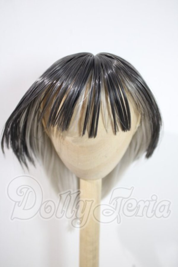 画像1: 9-10inch/ウィッグ U-26-10-28-062-TN-ZU (1)