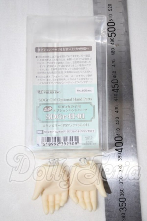 画像2: SDGr-H-01 U-26-10-28-204-TN-ZU (2)