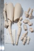 画像2: DD/ベースボディIII A-26-10-28-1088-TN-ZU (2)
