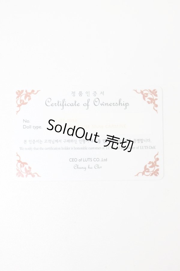 画像5: LUTS/Senior Delf Muse CARMINE S-23-09-13-324-GN-ZS (5)