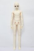 画像3: LUTS/Senior Delf 65:SDF-2ヘッド&男性ボディ S-24-06-16-223-GN-ZS (3)