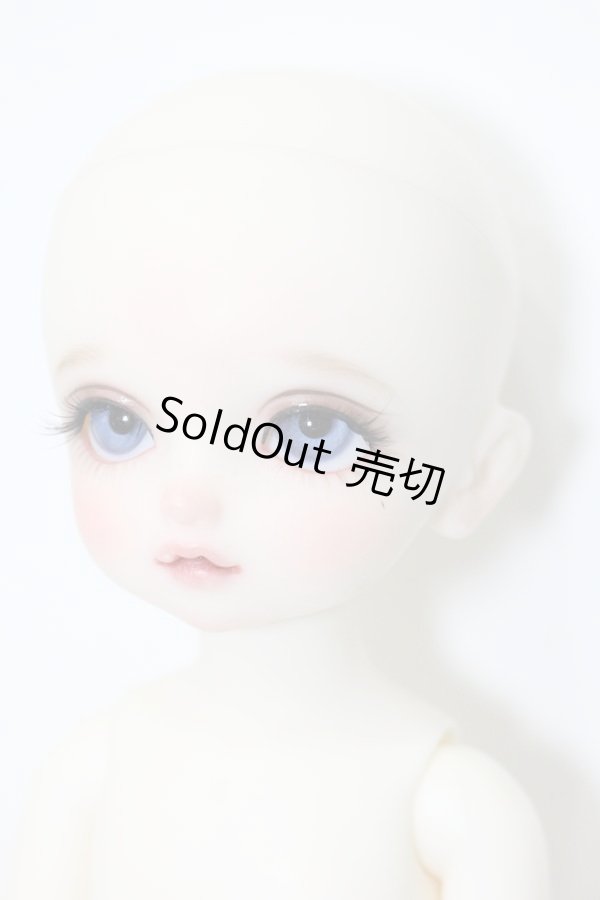 画像7: 幼SD/L'oiseau bleu 青い鳥(ロワゾブル) S-23-09-13-319-KD-ZS (7)