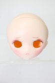 画像1: 1/12/ひなカスタムヘッド：PARABOX S-25-02-09-361-KD-ZS (1)