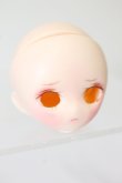 画像3: 1/12/ひなカスタムヘッド：PARABOX S-25-02-09-361-KD-ZS (3)