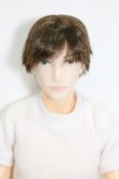 画像1: petworks/六分の一男子図鑑　NINE BASIC(ナイン/ベーシック) S-25-03-16-372-KD-ZS (1)