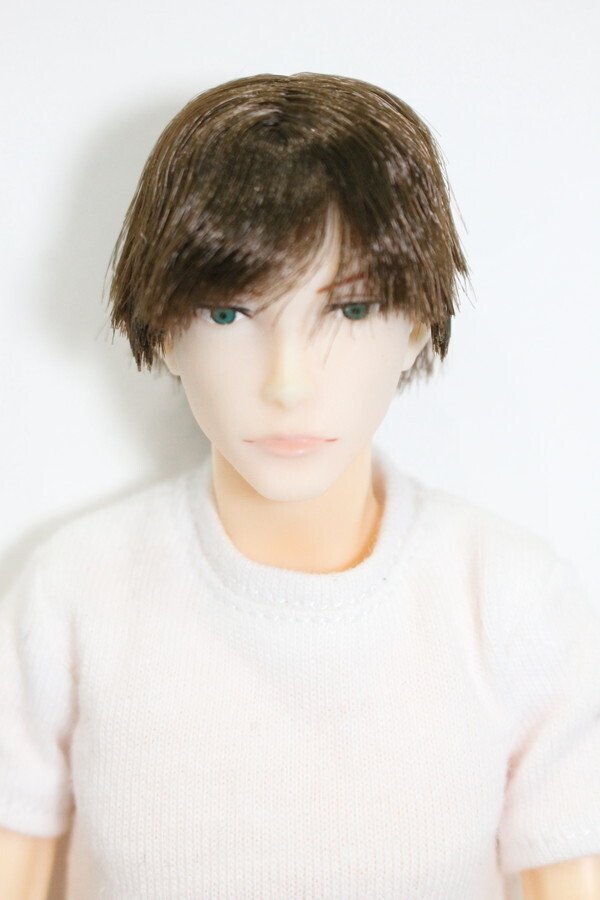 画像1: petworks/六分の一男子図鑑　NINE BASIC(ナイン/ベーシック) S-25-03-16-372-KD-ZS (1)