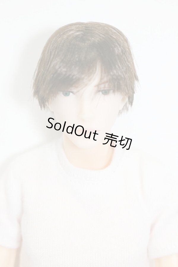 画像1: petworks/六分の一男子図鑑　NINE BASIC(ナイン/ベーシック) S-25-11-02-567-KD-ZS (1)