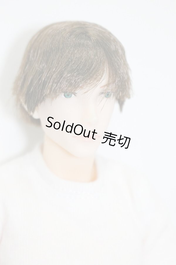 画像2: petworks/六分の一男子図鑑　NINE BASIC(ナイン/ベーシック) S-25-11-02-567-KD-ZS (2)