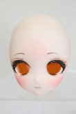 画像1: DD/DDH-27:カスタムメイクヘッド S-25-04-13-489-GN-ZS (1)