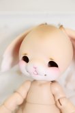 画像4: ANGELOGUE/Lovit(Golden tan) S-25-04-13-576-KD-ZS (4)