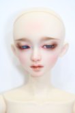 画像1: Dollsn/Rei Orange ver. S-24-06-16-237-KD-ZS (1)