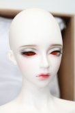 画像2: RS DOLL/NEW EVAN White Skin Girl ver. Limited S-24-09-08-222-KD-ZS (2)
