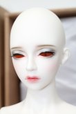 画像3: RS DOLL/NEW EVAN White Skin Girl ver. Limited S-24-04-14-144-KD-ZS (3)