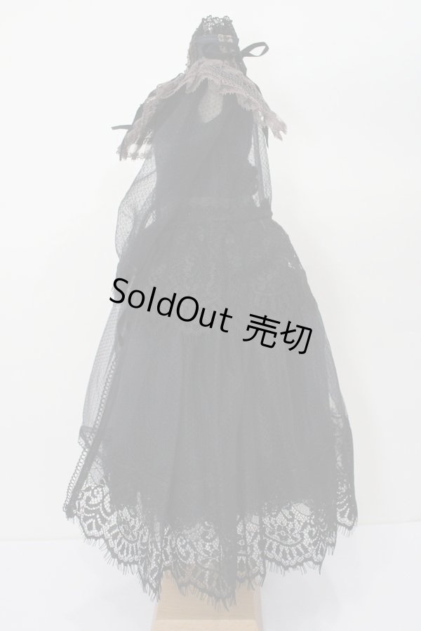 画像2: SD/OF:Lace Shower dress:Astrantia様製 S-23-11-15-026-GN-ZS (2)