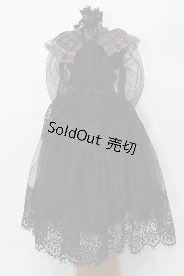 画像3: SD/OF:Lace Shower dress:Astrantia様製 S-23-11-15-026-GN-ZS (3)