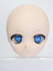 画像1: DD/DDH-01:カスタムメイクヘッド S-25-02-23-424-KD-ZS (1)