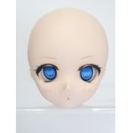 画像: DD/DDH-01:カスタムメイクヘッド S-25-05-11-568-KD-ZS