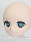 画像3: DD/DDH-01:カスタムメイクヘッド S-25-02-23-423-KD-ZS (3)