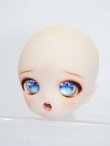 画像3: DDH-01/開口カスタムヘッド S-25-02-23-430-KD-ZS (3)