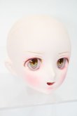画像3: DD/DDH-08カスタムヘッド S-25-04-13-477-KD-ZS (3)