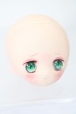 画像3: PARABOX/ヒカリヘッド（カスタム） S-25-06-01-685-KD-ZS (3)