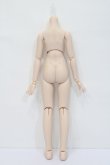 画像2: MDD/ベースボディIII(フレッシュ) S-23-12-13-085-GN-ZS (2)