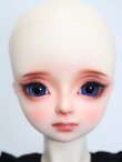 画像1: SPIRITDOLL/Akai S-24-06-16-225-KD-ZS (1)