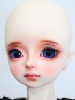 画像3: SPIRITDOLL/Akai S-24-06-16-225-KD-ZS (3)
