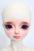 画像6: SPIRITDOLL/Akai S-24-06-16-225-KD-ZS (6)
