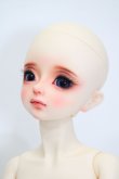 画像7: SPIRITDOLL/Akai S-24-06-16-225-KD-ZS (7)