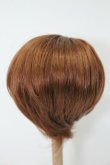 画像2: 8-9inch/ウィッグ S-25-03-04-301-KD-ZS (2)