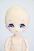 画像1: PARABOX/PB11-04カスタムヘッド S-25-03-16-368-KD-ZS (1)