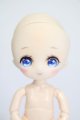 画像: PARABOX/PB11-04カスタムヘッド S-25-03-16-368-KD-ZS