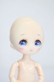 画像2: PARABOX/PB11-04カスタムヘッド S-25-03-16-368-KD-ZS (2)