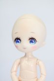 画像3: PARABOX/PB11-04カスタムヘッド S-25-03-16-368-KD-ZS (3)