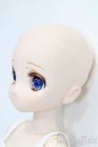 画像3: azone/アイリスコレクト プチ：こはる With happiness ver.1.1 S-25-04-06-001-KD-ZS (3)